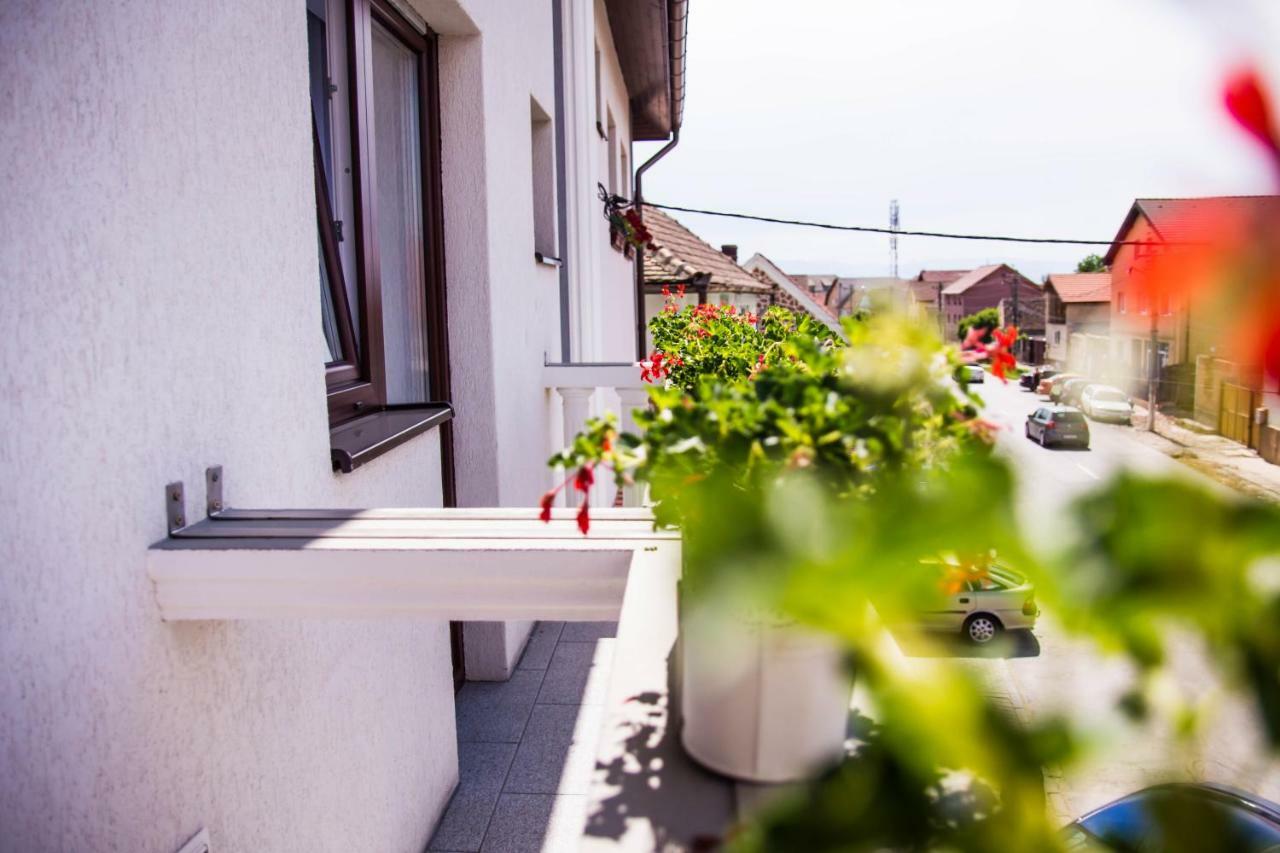 Pensiunea Iliada Sibiu Esterno foto